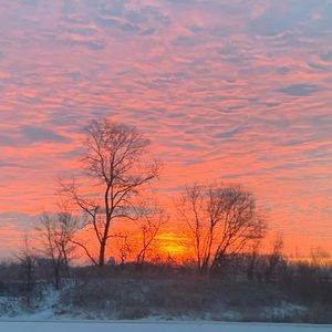 Meet your Posher, Evan